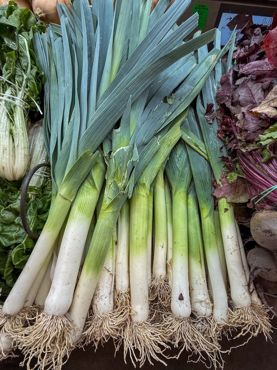 on récolte quoi au potager en décembre