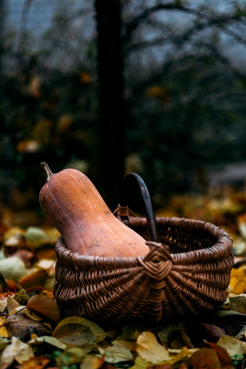 les légumes de l'automne : les courges