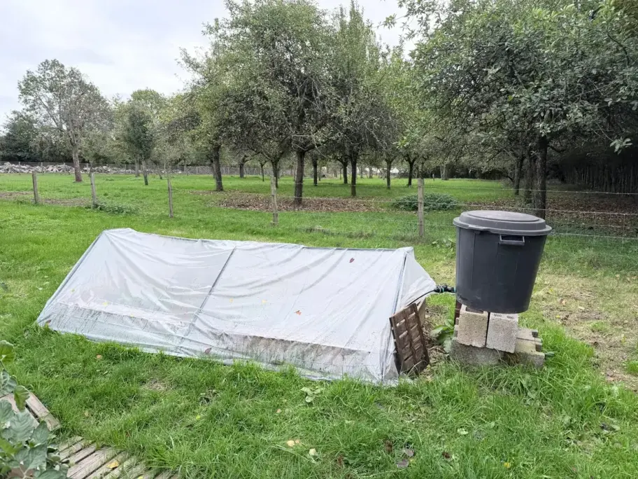 Tunnel de forçage couvert d’un film plastique armé et quadrillé, devant le verger
